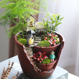 懒人绿植生态瓶_植物生态瓶怎么做--第1张