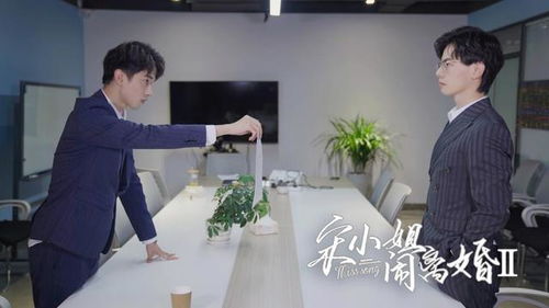 短剧离婚后，美女总裁追着我领证免费在线观看_离婚后总裁追妻--第1张
