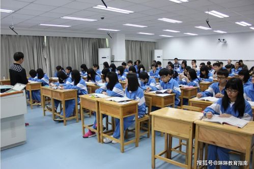 短剧真千金她不好惹免费在线观看_真千金不好惹--第1张