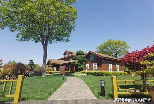 关于短剧都市黄金瞳免费在线观看的信息--第1张