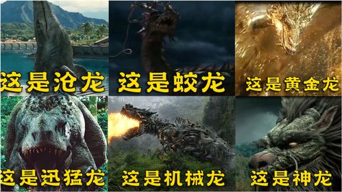 短剧神龙镇九州免费在线观看_神龙策电影百度百科--第1张