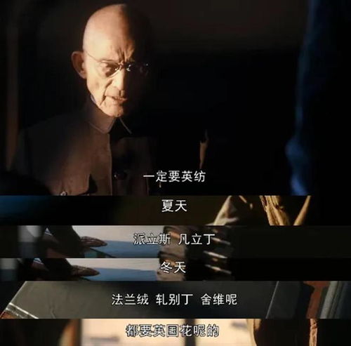 短剧繁花免费在线观看_繁花电视剧电影--第1张