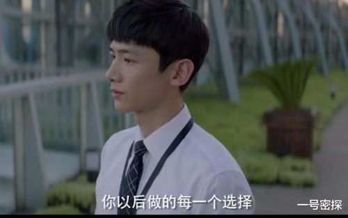 短剧少帅的伪装情人免费在线观看_少帅的剧情分集介绍--第1张