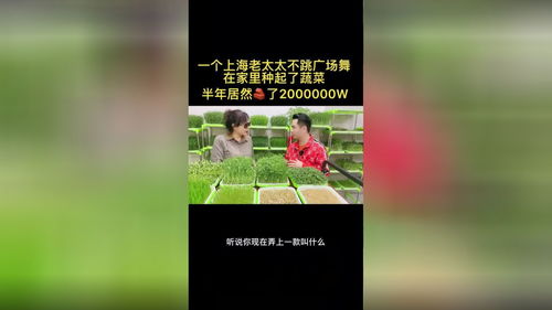 桌面懒人水培绿植_桌上水培植物--第1张
