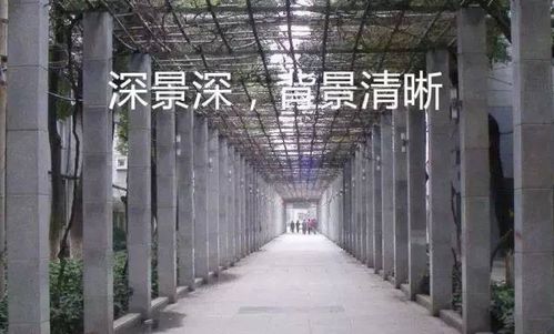 短剧火龙下山闯邪城：师姐快帮我续命免费在线观看_火龙真人的师父--第1张