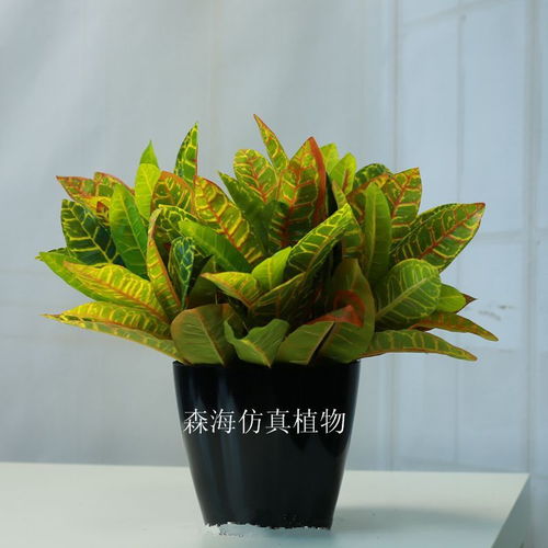 懒人绿植仿真_仿真绿植盆栽--第1张