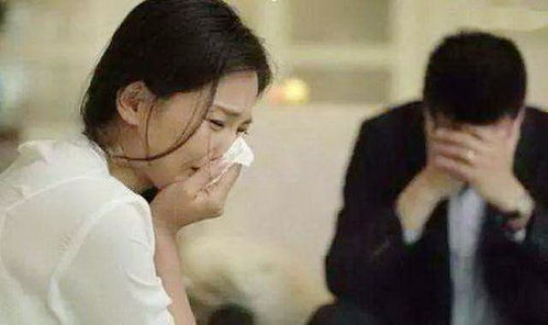 短剧一胎二宝：离婚前老婆重生了免费在线观看_好运前妻一胎生俩宝--第1张