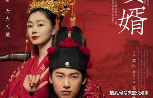 赘婿小说大结局_赘婿小说大结局是啥--第1张