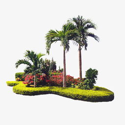 懒人景观绿植图片_懒人景观绿植图片大全--第1张