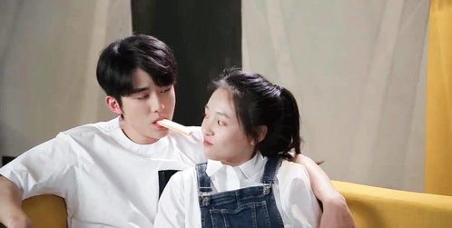 短剧闪婚急诊免费在线观看_闪婚电视剧剧情30集介绍--第1张