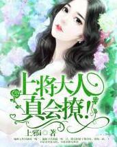 短剧将军大人请和离免费在线观看_将军大人请接招免费阅读--第1张
