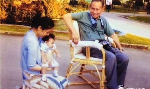 短剧摄政王妃她又美又飒免费在线观看_摄政王妃有点狂免费阅读全文--第1张