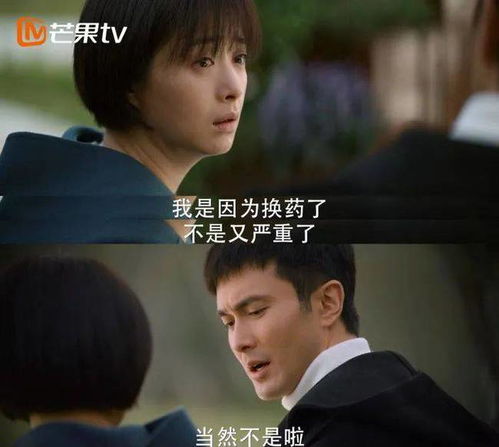 短剧遇见，我的阳修大人免费在线观看--第1张