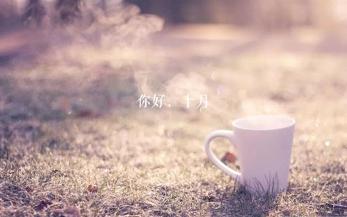 十月你好的唯美句子_十月你好的唯美句子英语--第1张