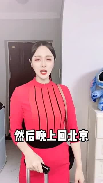 短剧我的空姐老婆免费在线观看_我的空姐梦想--第1张