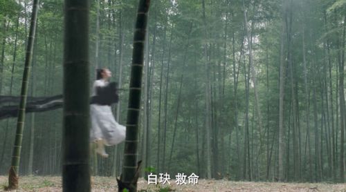 短剧至尊魔镜战神免费在线观看_至尊魔幻电影--第1张