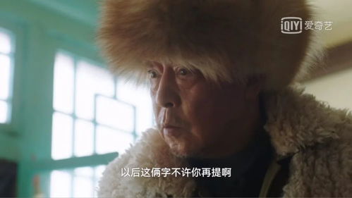短剧回家过年免费在线观看_回家过年的电视剧全集--第1张