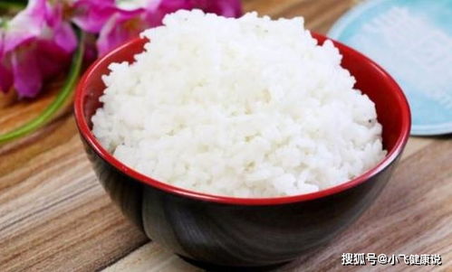 短剧肥宅当皇后免费在线观看_肥宅到底做错了什么?--第1张