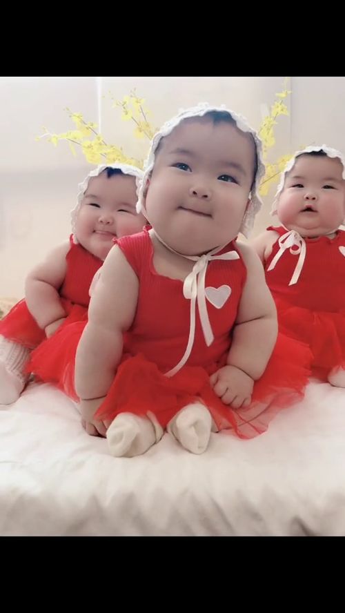 短剧啥基因啊，三胞胎都是大佬免费在线观看_三胞胎的基因来自于谁--第1张