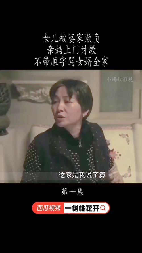 短剧大佬，你女儿被婆婆家欺负惨了免费在线观看的简单介绍--第1张