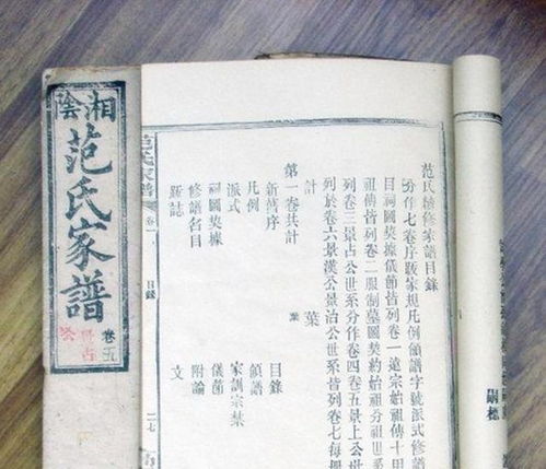 短剧我要站在他身边免费在线观看_我要站在你身后是什么歌--第1张
