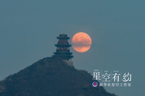 短剧夫人才是那晚的白月光免费在线观看_夫人竟是白月光全文在线阅读--第1张