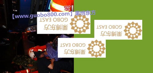 短剧腾龙免费在线观看_短剧腾龙在线观看全集免费高清--第1张