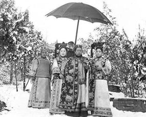 短剧历少夫人微微甜云川不知眠免费在线观看_历少夫人又闯祸了阅读--第1张