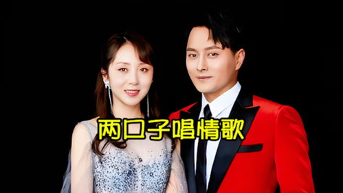 短剧双生夺爱陆总你认错夫人了免费在线观看--第1张