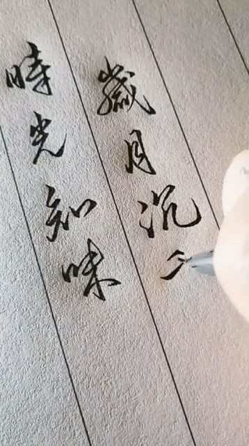 短剧时岁知味免费在线观看_时年岁月--第1张