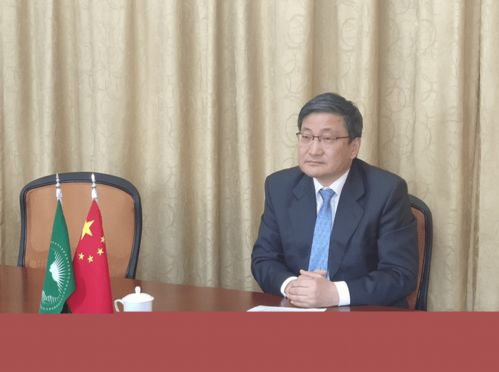 短剧乘风破浪的婚姻免费在线观看_乘风破浪免费2021--第1张