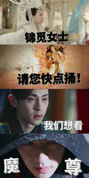 短剧神龙殿免费在线观看_电视剧神龙--第1张