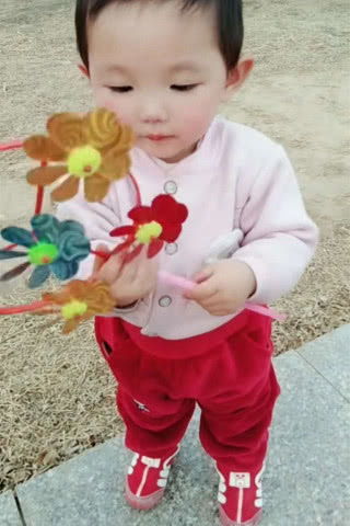 短剧一胎二宝：我的妈咪惹不得免费在线观看_一胎两宝妈咪哪里逃免费阅读--第1张