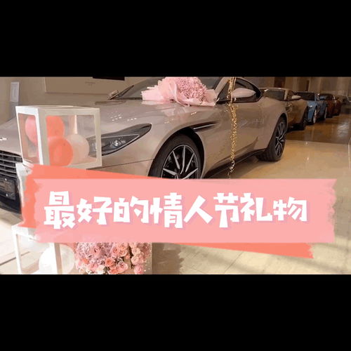 汽车视频大全_汽车视频大全集--第1张