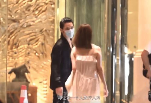 热播短剧-消失的他回来了免费在线观看_消失的你--第1张