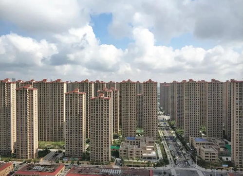 短剧闪婚后我实力藏不住了浩子免费在线观看_闪婚以后--第1张