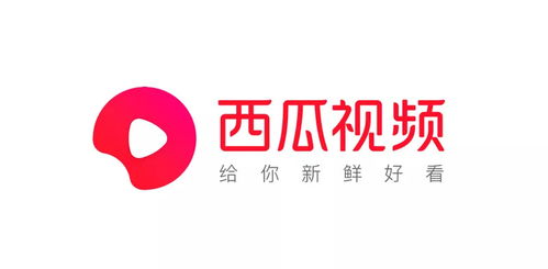 短剧免费工具免费在线观看_短剧榜电视剧--第1张