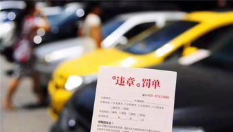 广东省交通违章查询官方网_广东交通违法查询官网--第1张