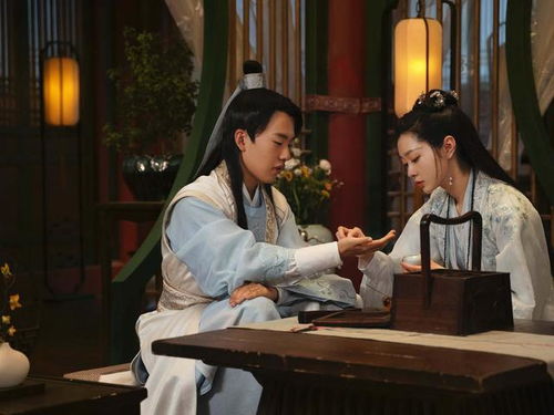 赘婿张天大结局是什么_赘婿张腾--第1张