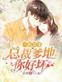短剧一胎双宝抢个总裁当爹地全集观看_一胎双宝完整版--第1张