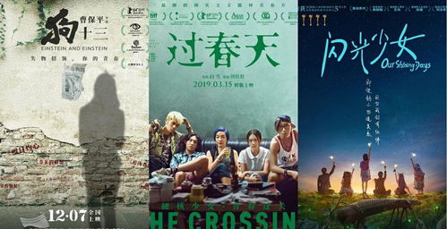 短剧如果声音记得你长篇全集观看_如果声音记得什么时候上映--第1张