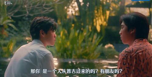 短剧特工姐姐归来免费在线观看_电视剧特工姐妹花全集介绍--第1张