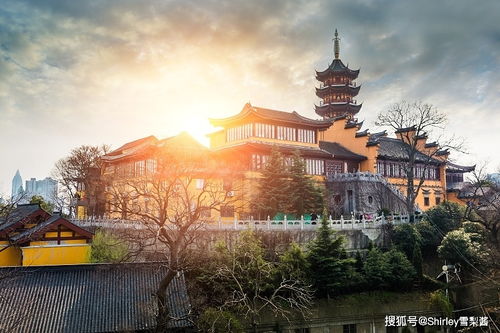 短剧神豪之最强超能力又名巨富崛起全集观看_最强神壕--第1张