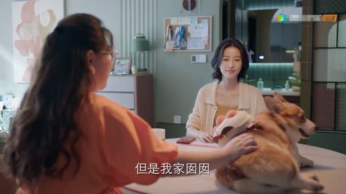 短剧触不可及的爱全集观看_电视剧触不可及--第1张