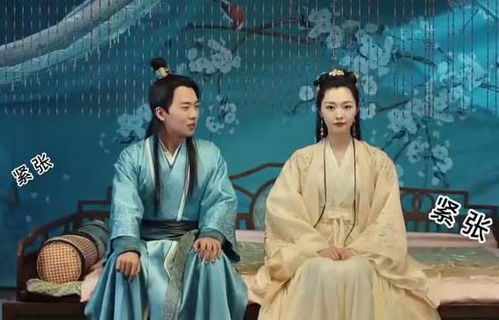 短剧赘婿天子免费在线观看_赘婿电视剧全集36集天狼--第1张