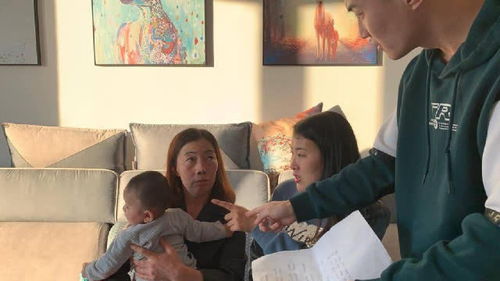 短剧顾总太太又被关进园区了全集观看_顾太太是什么电视--第1张