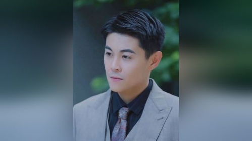 短剧拼婚老公超给力全集观看_拼婚啥意思--第1张