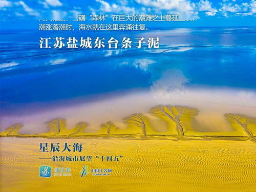 短剧星辰大海不如你全集观看_星辰大海不及你的句子--第1张