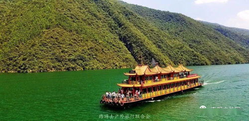 包含短剧神级老实人免费在线观看的词条--第1张