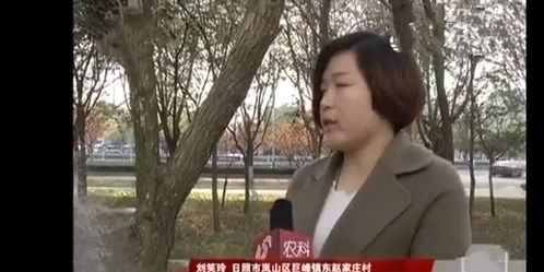 短剧季总你认错老婆了$远在眼前的你全集观看--第1张